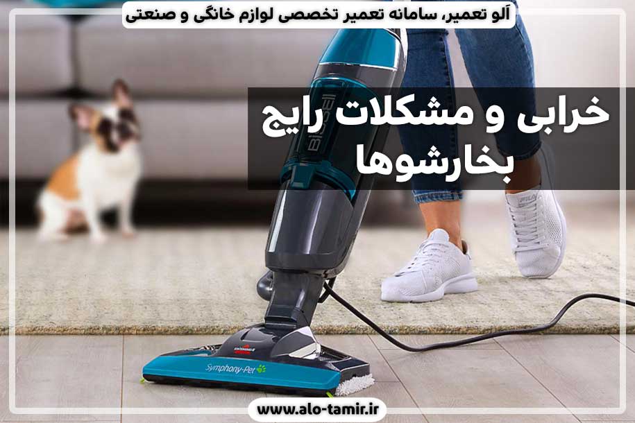مشکلات-رایج-بخارشو