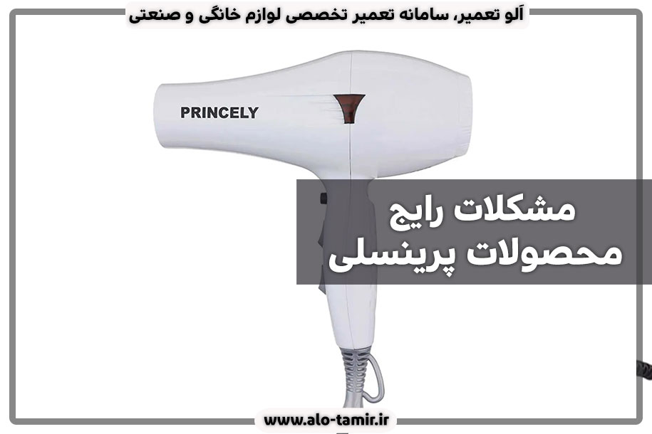 مشکلات-رایج-پرینسلی