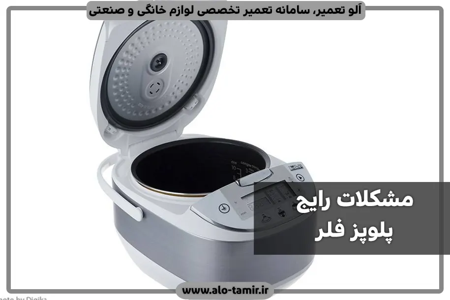 مشکللات فلر