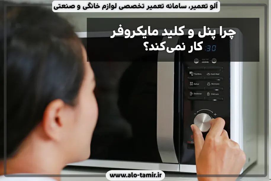 پنل و کلید مایکروفر